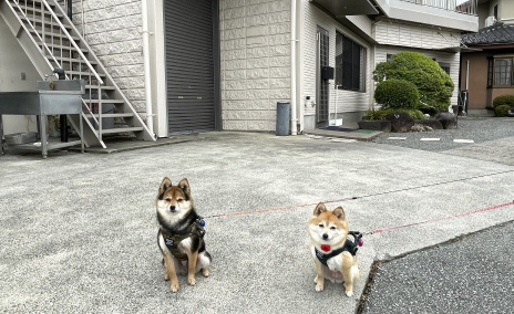 岡本興業前
